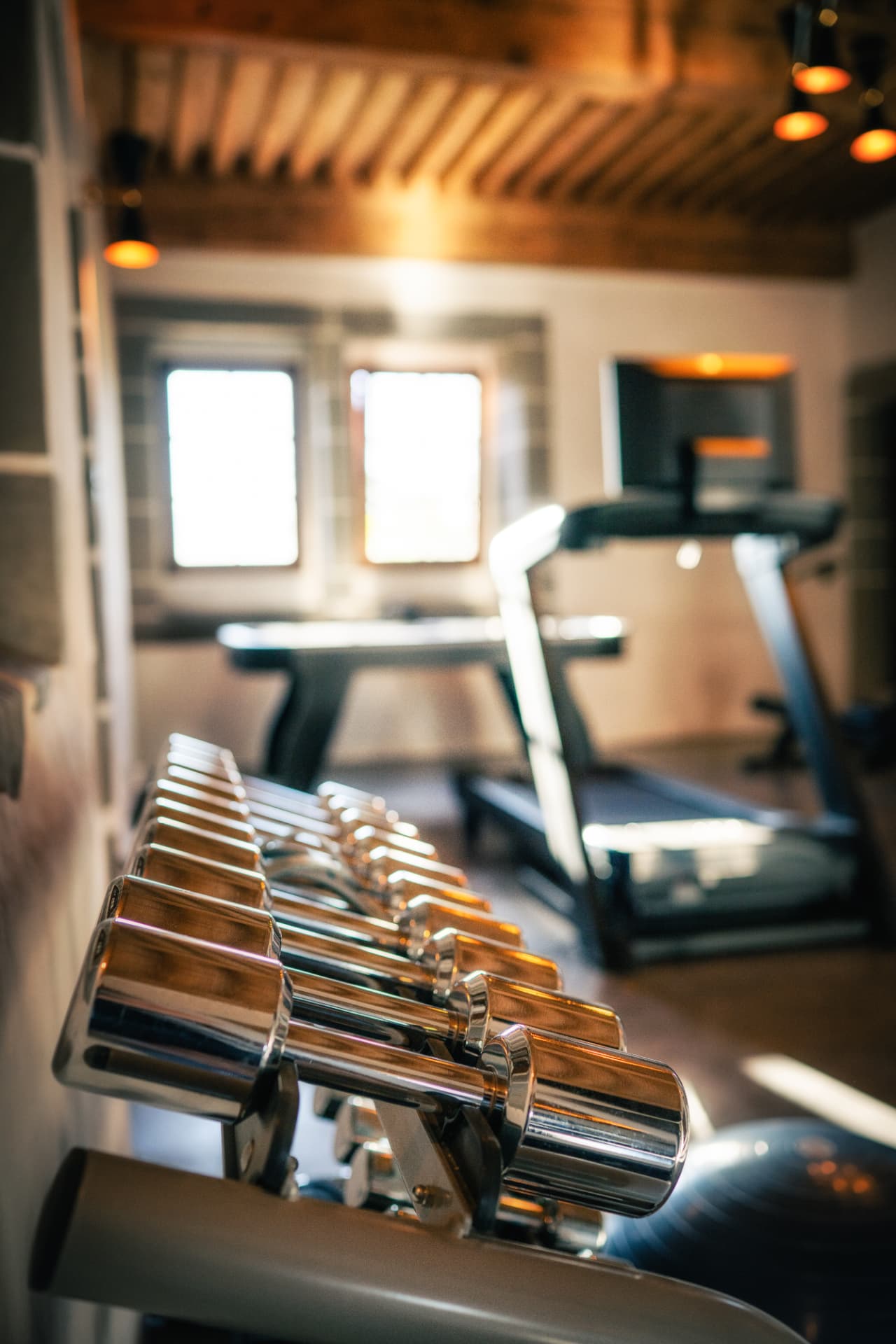 Haltères dans la salle de sport du Château de Crâche